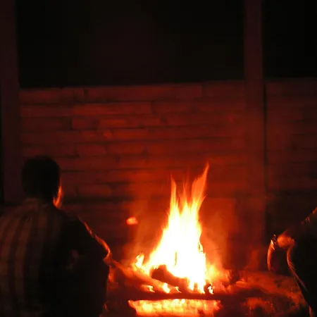 Modrzewie * Międzylesie